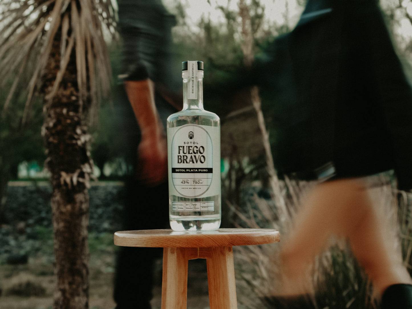 Sotol Plata Puro – Auténtico Espíritu del Desierto