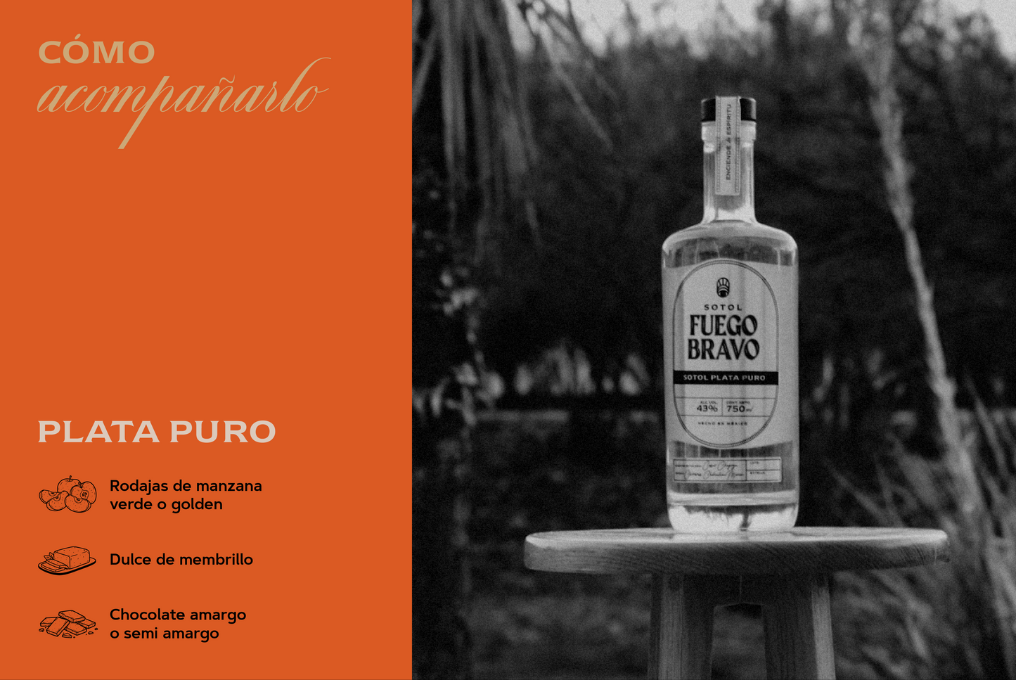 Sotol Plata Puro – Auténtico Espíritu del Desierto