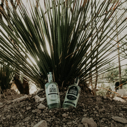 Dúo Salvaje del Desierto - Kit de Sotol Artesanal