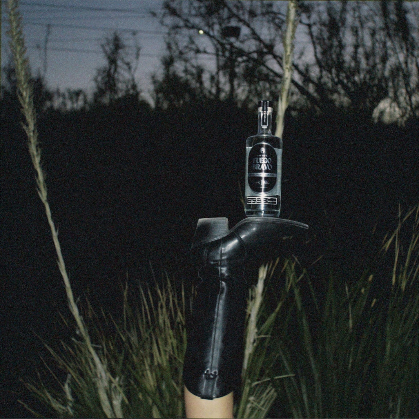 Sotol Plata Carney – Tradición Salvaje con un Toque Único