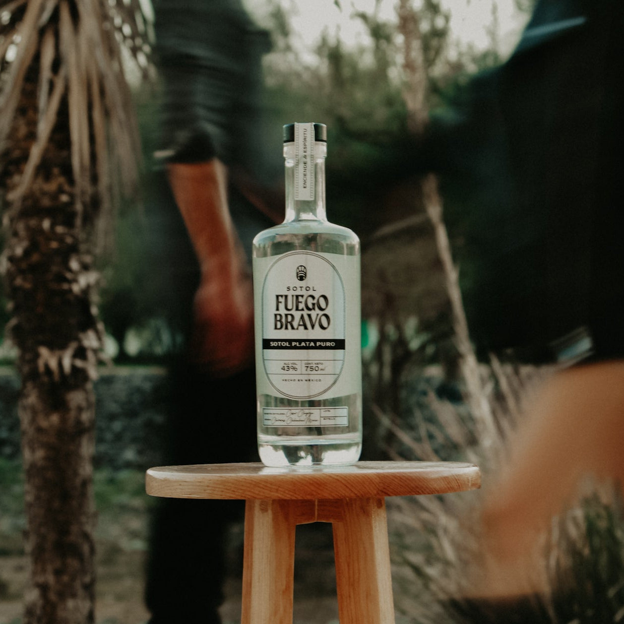 Sotol Plata Puro – Auténtico Espíritu del Desierto